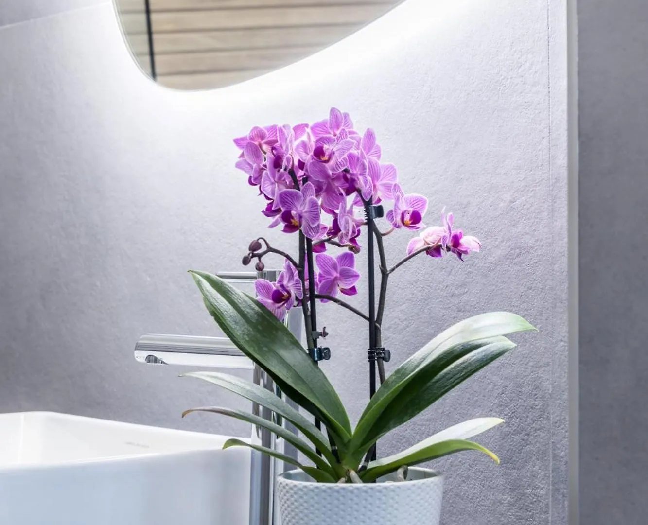 Mhouse Roma Apartment  Rome
